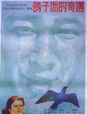 鸽子迷的奇遇,鸽子迷的异域探险记