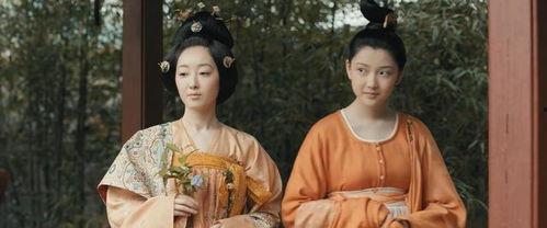 傅总的天降太子妃,宫廷风云下的爱恨情仇