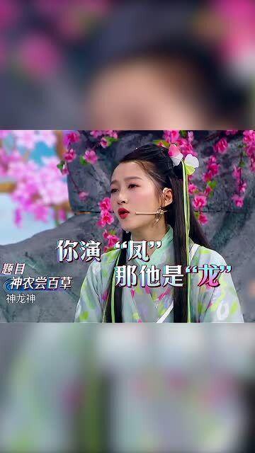 傻小龙神农逆袭,从田间小贩到农业巨头的传奇之路