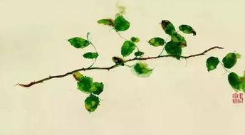 花开满堂空有枝,探寻生命与自然的和谐共鸣